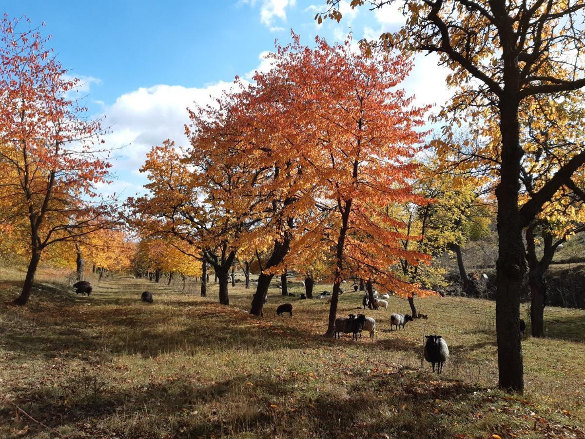 Valečská pálenice Esterno foto